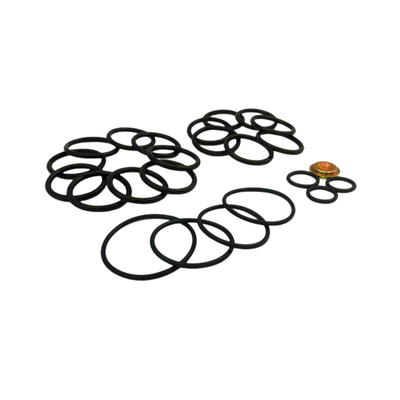 FKM EPDM NBR Pierścienie Niestandardowe Kolory Redress Kit #10 Baker Setting Tools For Bridge Plug