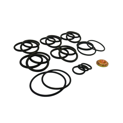 FKM EPDM NBR Pierścienie Niestandardowe Kolory Redress Kit #10 Baker Setting Tools For Bridge Plug