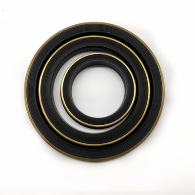 OEM ODM Wymienny Czarny HNBR 2 Inch Hammer Union Lip Seal