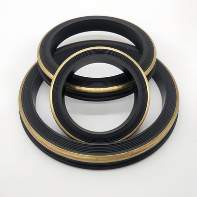 OEM ODM Wymienny Czarny HNBR 2 Inch Hammer Union Lip Seal