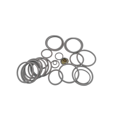 Industrial #20 BP3.SEC Redress Kit z trwałym olejem gumowym / chemicznym / odpornym na ciepło