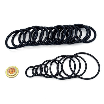 15,000 PSI Zestaw do pakowania dla #10 Narzędzia do ustawiania ciśnienia typu - Zestaw do naprawy zgodny z ropą naftową z zestawami adapterów drutowych (WAK)