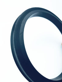 Made in China Hammer Union Lip Seal Ring HNBR