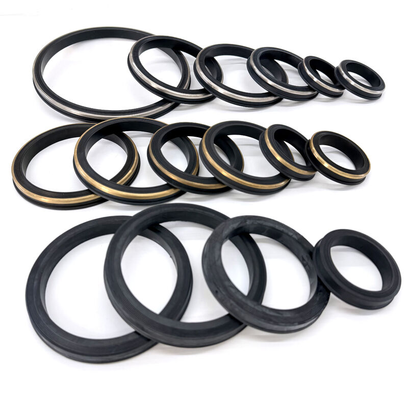 2 Inch FIG 602 FIG 1002 Hammer Union Seal and Hammer Union Lip Seal for Oilfield Equipment