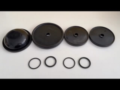 Pump diafragma jest istotnym elementem uszczelniającym w pompach diafragmowych i akumulatorach hydraulicznych, zapewniającym efektywne